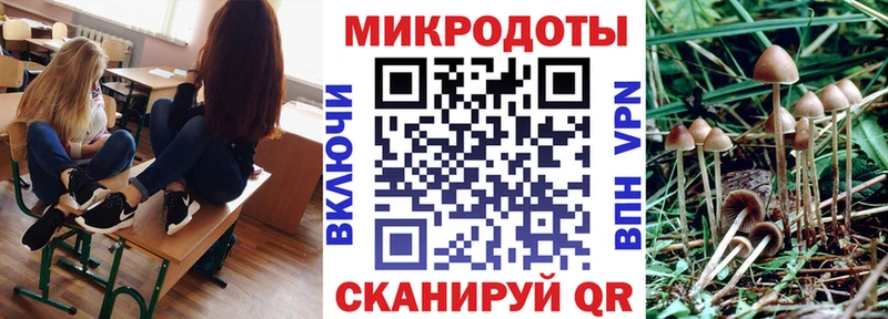 Псилоцибиновые грибы Magic Shrooms  Бабушкин 